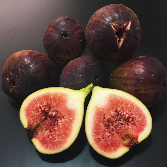 figo-roxo